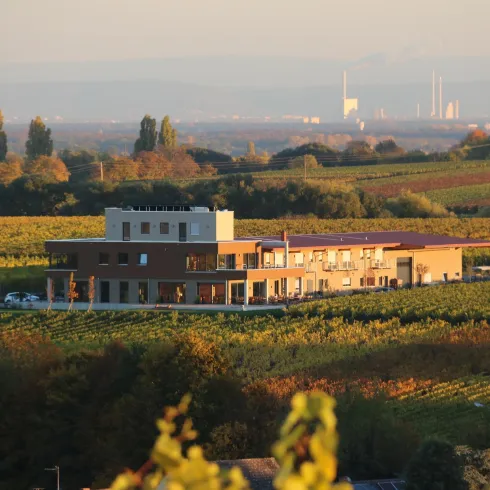 Vögelis Weinnest