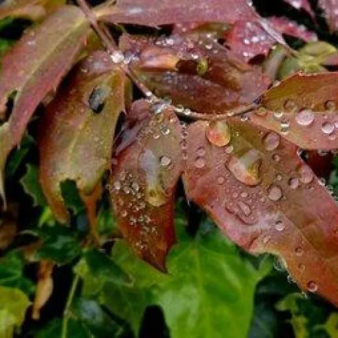 Regenwasser nutzen Regenwasser nutzen