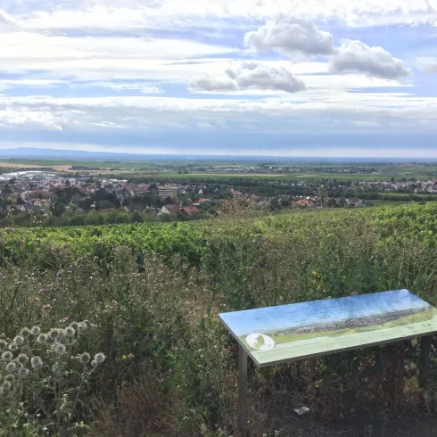 Panoramablick - mit Erläuterungstafel