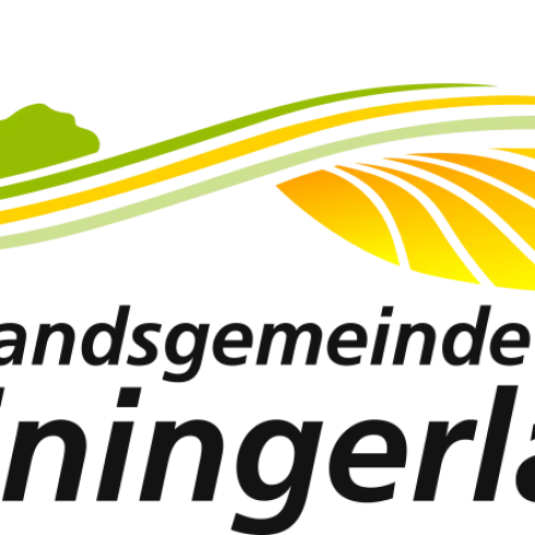Logo_VGLeiningerland_gross300