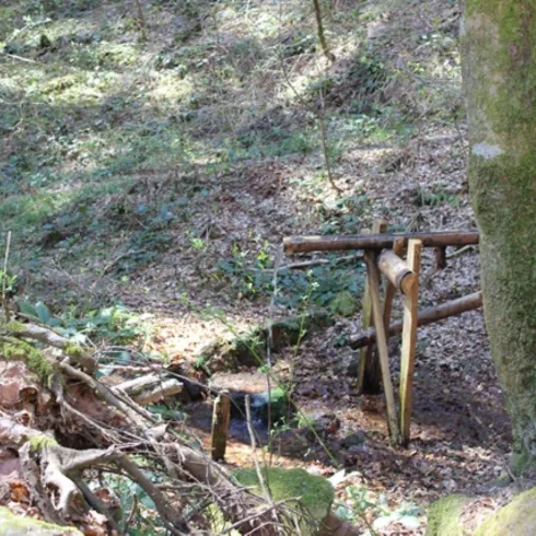 Schwambornquelle Hinterweidenthaler Teufelstisch-T