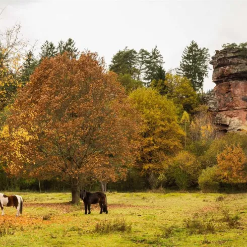 Heufelsen (© Stephanie Ser)