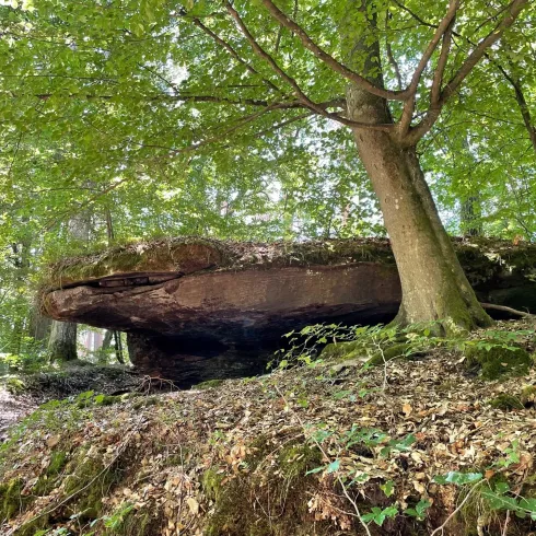 Münchhofer Fels_02