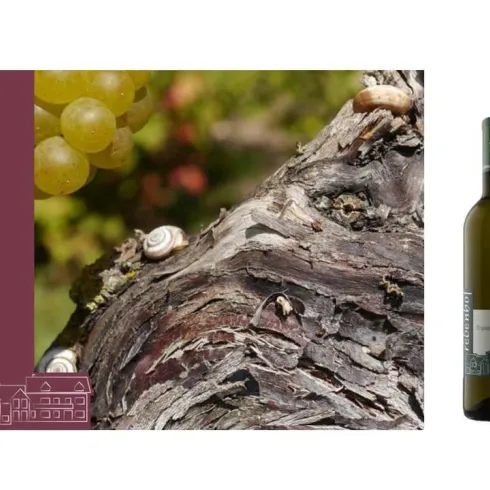 1 (© Weingut Rebenhof)