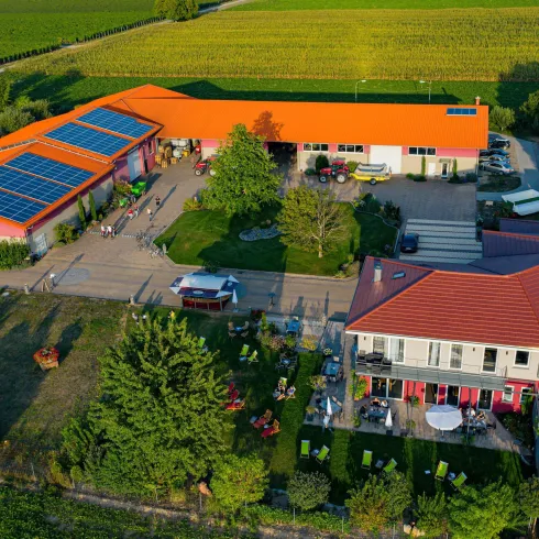 Weingut Spiegel (© Weingut Spiegel)
