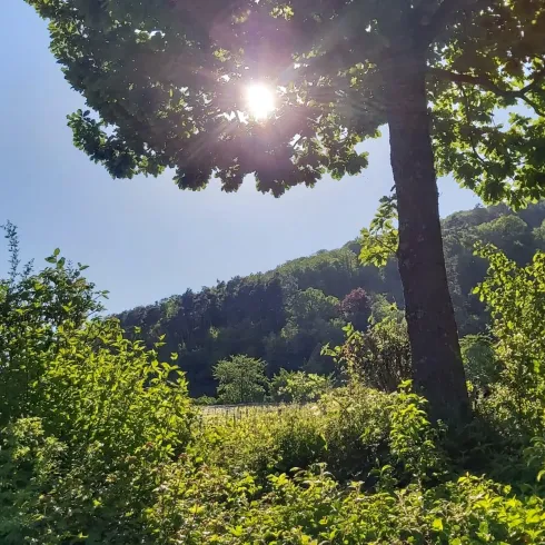Waldbaden Waldbaden