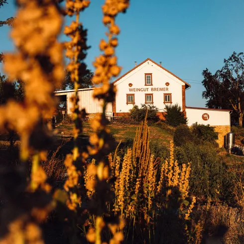 Weingut Bremer (© Agentur Tamed) Weingut Bremer (© Agentur Tamed)