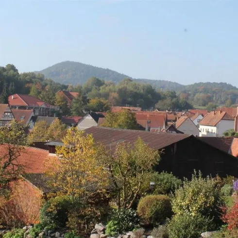 Völkersweiler (© Verein SÜW Annweiler am Trifels) Völkersweiler (© Verein SÜW Annweiler am Trifels)