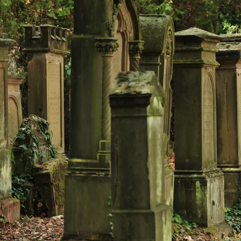 Blick auf den jüdischen Friedhof im Orsteil Dalshe (© VG Monsheim/Fotograf Carsten Costard)