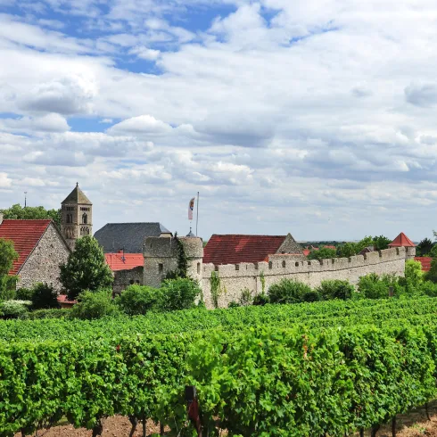 Fleckenmauer Ortspanorama (© VG Monsheim/Fotograf Carsten Costard)