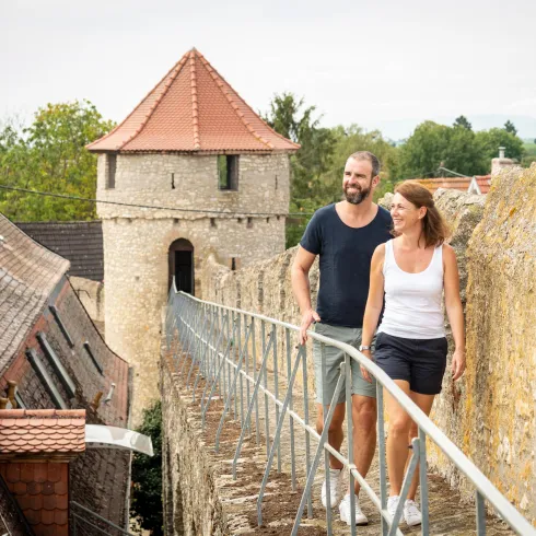 Auf der Fleckenmauer (© Dominik Ketz)