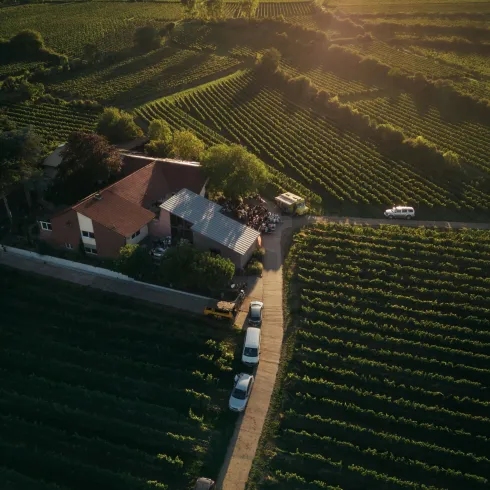 Weingut Uhinck Steigerhof GbR (© Weingut Uhinck Steigerhof GbR, Foto Sebastian Greiner) Weingut Uhinck Steigerhof GbR (© Weingut Uhinck Steigerhof GbR, Foto Sebastian Greiner)