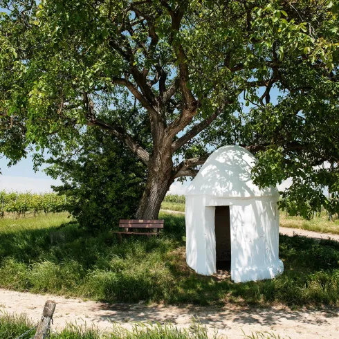 Trullo am Nußbaum (© VG Monsheim-Fotograf Carsten Costard)