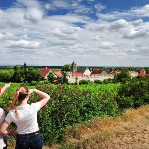 Blick auf den Ortsteil Dalsheim (© VG Monsheim Fotograf Carsten Costard)
