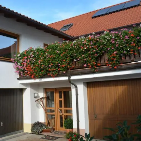 Haus Haus