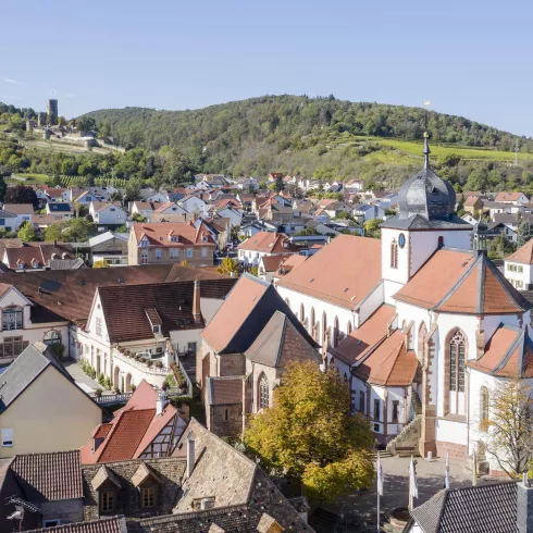 Wachenheim1 (© TI Wachenheim)