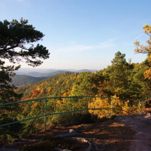 Buhlstein (© Archiv TI Bad-Bergzabern)