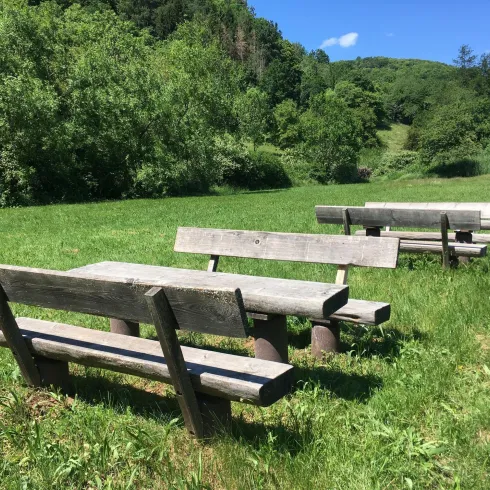 Picknickplatz (© Verein SÜW Annweiler e.V.) Picknickplatz (© Verein SÜW Annweiler e.V.)