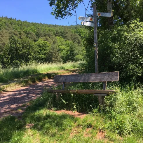 Ruhebank unterhalb Lourdesgrotte (© Verein SÜW Annweiler e.V.)