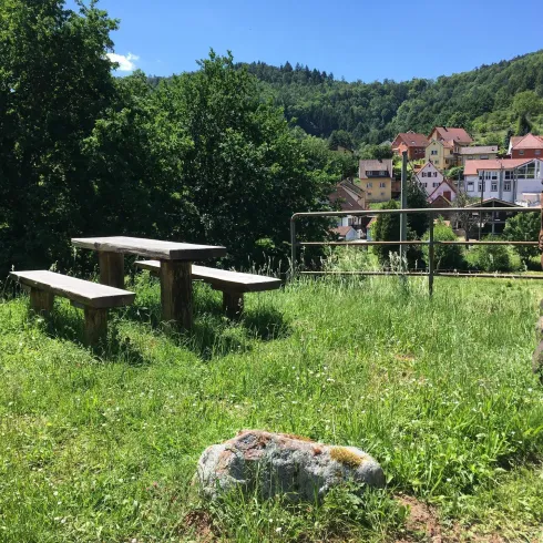 Picknickplatz (© Verein SÜW Annweiler e.V.)
