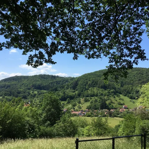 Schöne Aussicht (© Verein SÜW Annweiler e.V.)
