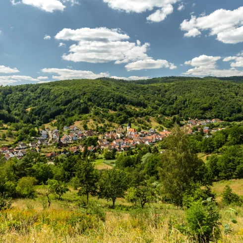 Ortsansicht Dernbach (© Verein SÜW Annweiler e.V., Dominik Ketz) Ortsansicht Dernbach (© Verein SÜW Annweiler e.V., Dominik Ketz)