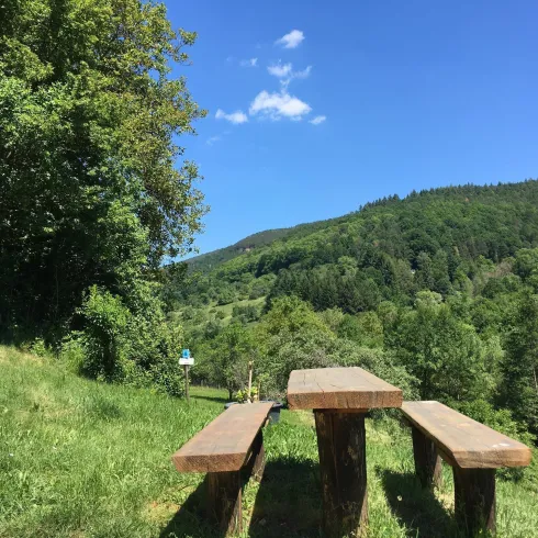 Picknickplatz (© Verein SÜW Annweiler e.V.)