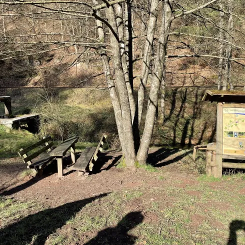 Biedenbacher Woog_05