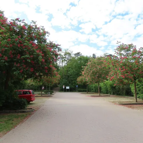 Parkplatz Ludwigshain Bild 1 (© Urlaubsregion Freinsheim)