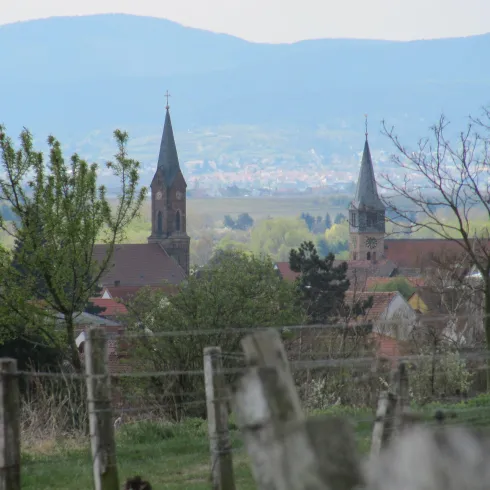 Blick auf Weisenheim am Sand (© Birgit Groh) Blick auf Weisenheim am Sand (© Birgit Groh)