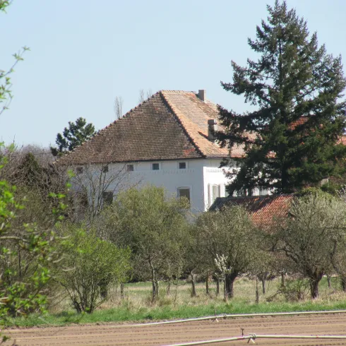 Eyersheimer Mühle (© Birgit Groh)