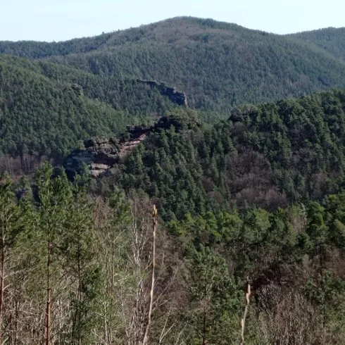 Blick zu Backelstein und Burghalder