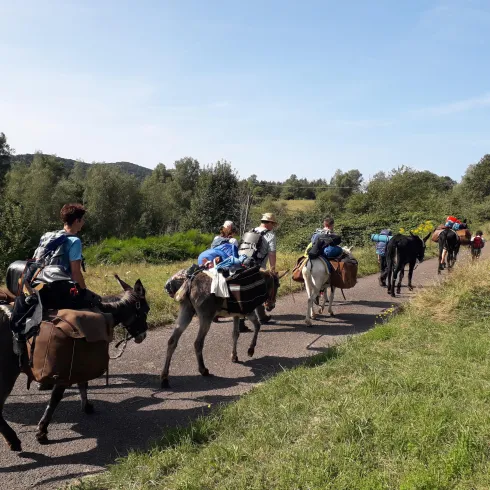 Eseltrekking I Eseltrekking I