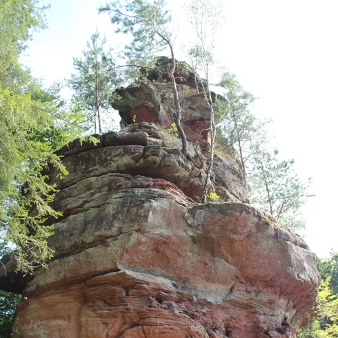 Rauschlochfelsen (© TI Hauenstein) Rauschlochfelsen (© TI Hauenstein)