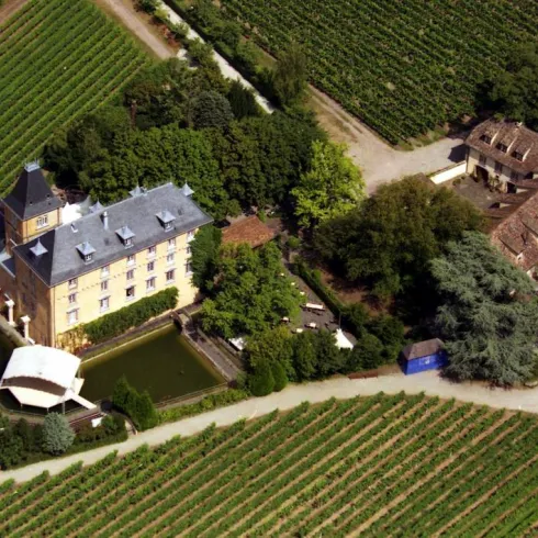 Luftaufnahme Ausschnitt (© Hotel Schloss Edesheim) Luftaufnahme Ausschnitt (© Hotel Schloss Edesheim)