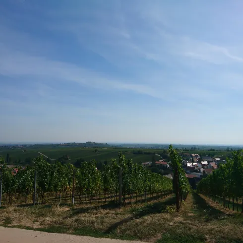 Aussicht aus dem Strandkorb Aussicht aus dem Strandkorb