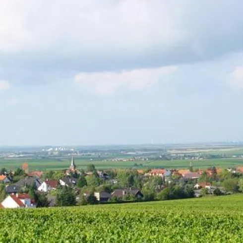 Weisenheim am Berg