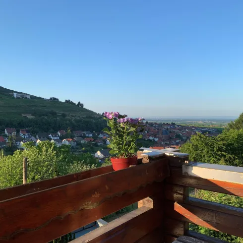 Blick vom Balkon Blick vom Balkon