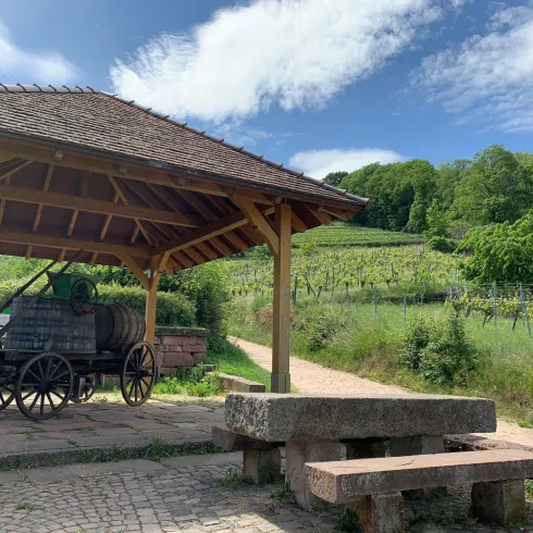 Steinbank am Burgweg (© Tourist-Info St. Martin)