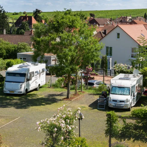 Wohnmobilstellplatz Weingut Schreieck (© Weingut Schreieck)