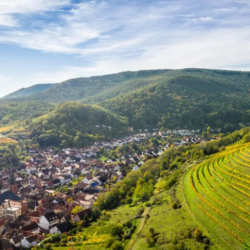 St. Martiner Wingertsberg (© Dominik Ketz_Pfalz Touristik) St. Martiner Wingertsberg (© Dominik Ketz_Pfalz Touristik)