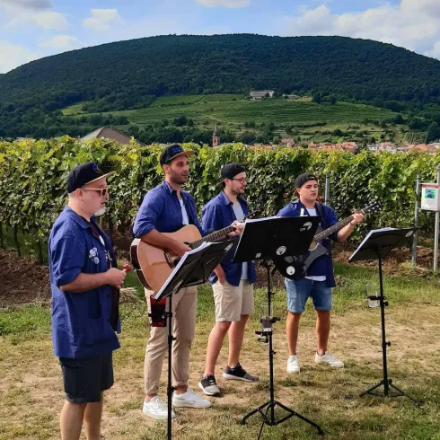 Wandern, Wein und mehr ... (© Elke Dotzler) Wandern, Wein und mehr ... (© Elke Dotzler)