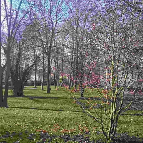 Park Villa Wieser (© Verein Südliche Weinstrasse Herxheim e.V.)