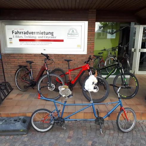 Fahrradverleih Deidesheim 1