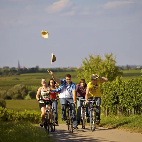 Fahrradvermietung Deidesheim 1