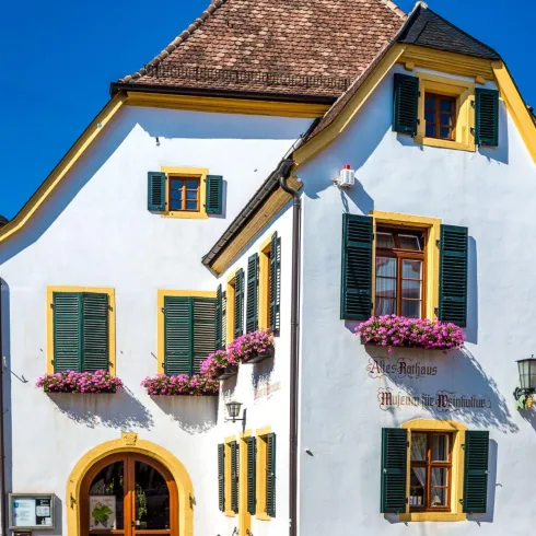 Hist. Rathaus mit Museum für Weinkultur Deidesheim