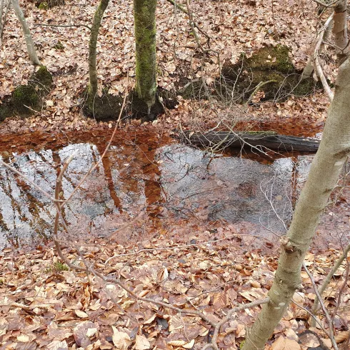 am Heilbach am Heilbach