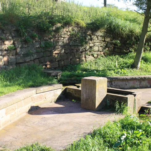 Nebelsbrunnen Esthal