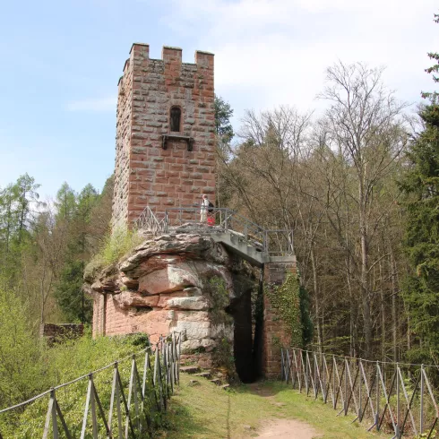 Burg Erfenstein