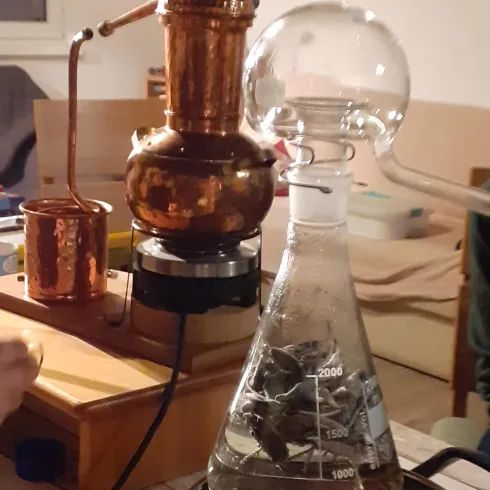 Pflanzen Alchemie I u. II: Pflanzen Spagyrik Pflanzen Alchemie I u. II: Pflanzen Spagyrik